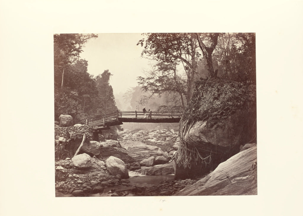 Samuel Bourne:Darjeeling; Picturesque Bridge over the Rungno, Poster Print Wall Art