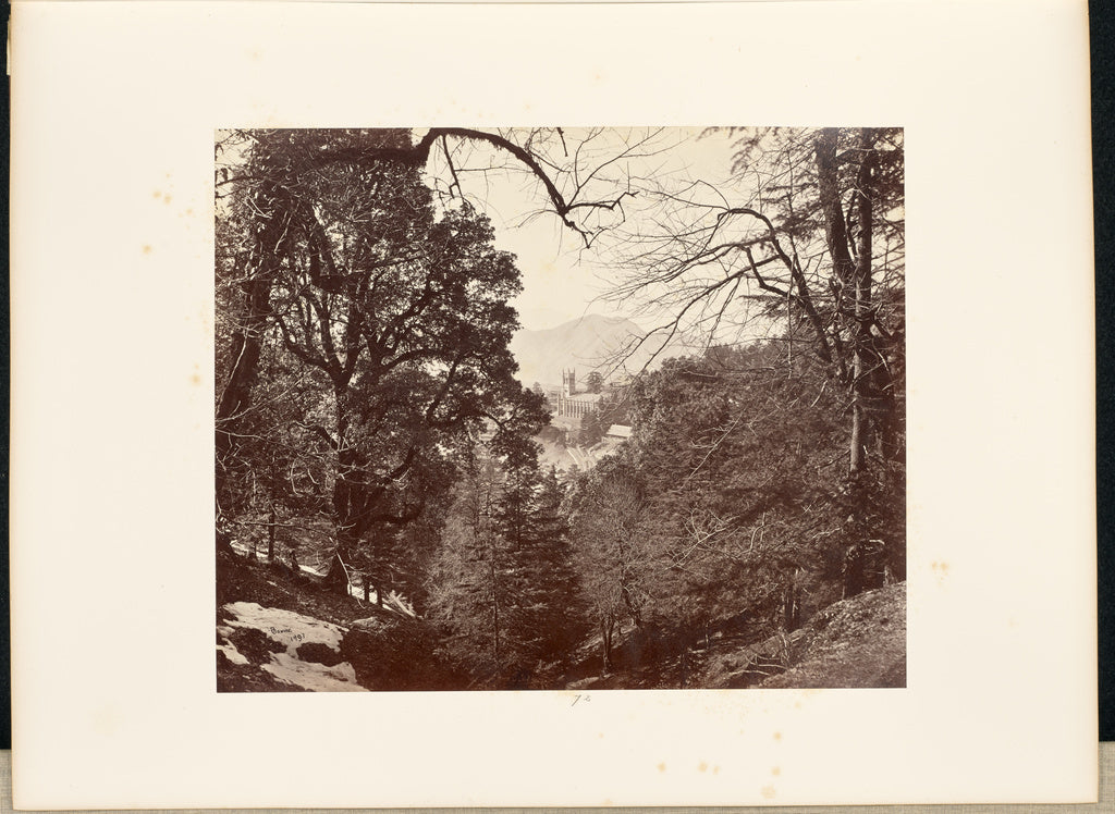 Samuel Bourne:Simla; Pic-nic [sic] amongst the Trees at Anna, Poster Print Wall Art