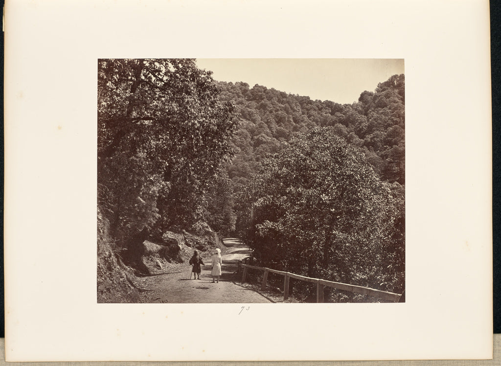 Samuel Bourne:Simla; A Shady Ride round [sic] Jakko, Poster Print Wall Art