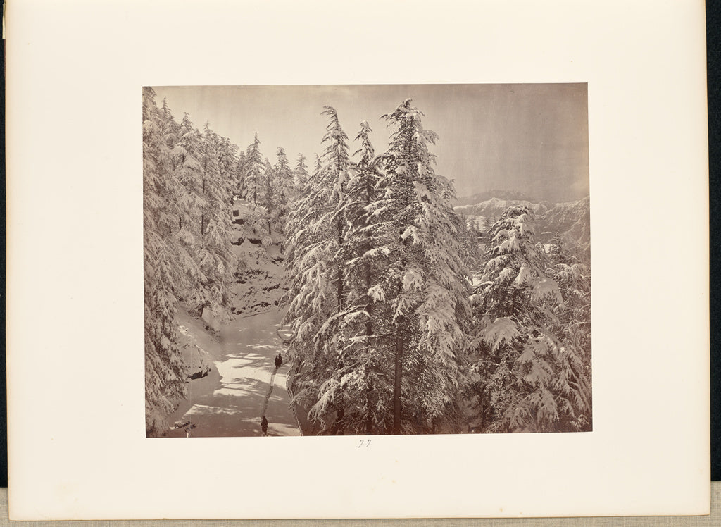 Samuel Bourne:Simla in Winter; View from the South Verandah , Poster Print Wall Art
