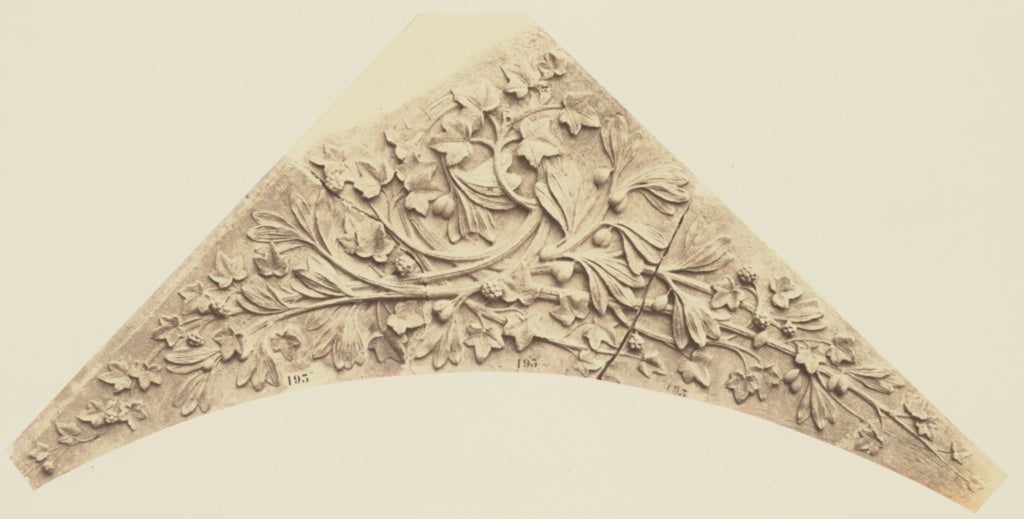 edouard Baldus:[Ornamental Foliage by Auguste Jean Baptiste , Poster Print Wall Art