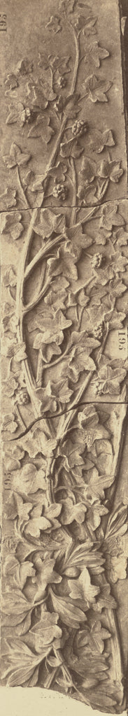 edouard Baldus:[Detail of the Decoration of the Pavillon de ,16x12