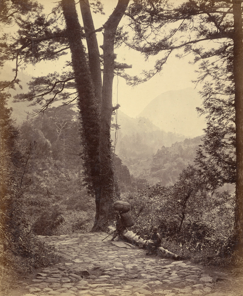 Felice Beato:View of the Hakone Pass, Poster Print Wall Art