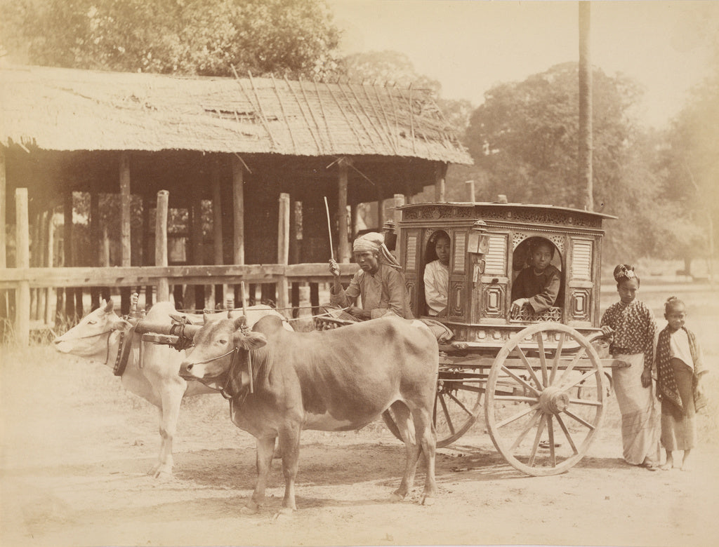 Felice Beato:Burmese Public Carriage, Poster Print Wall Art