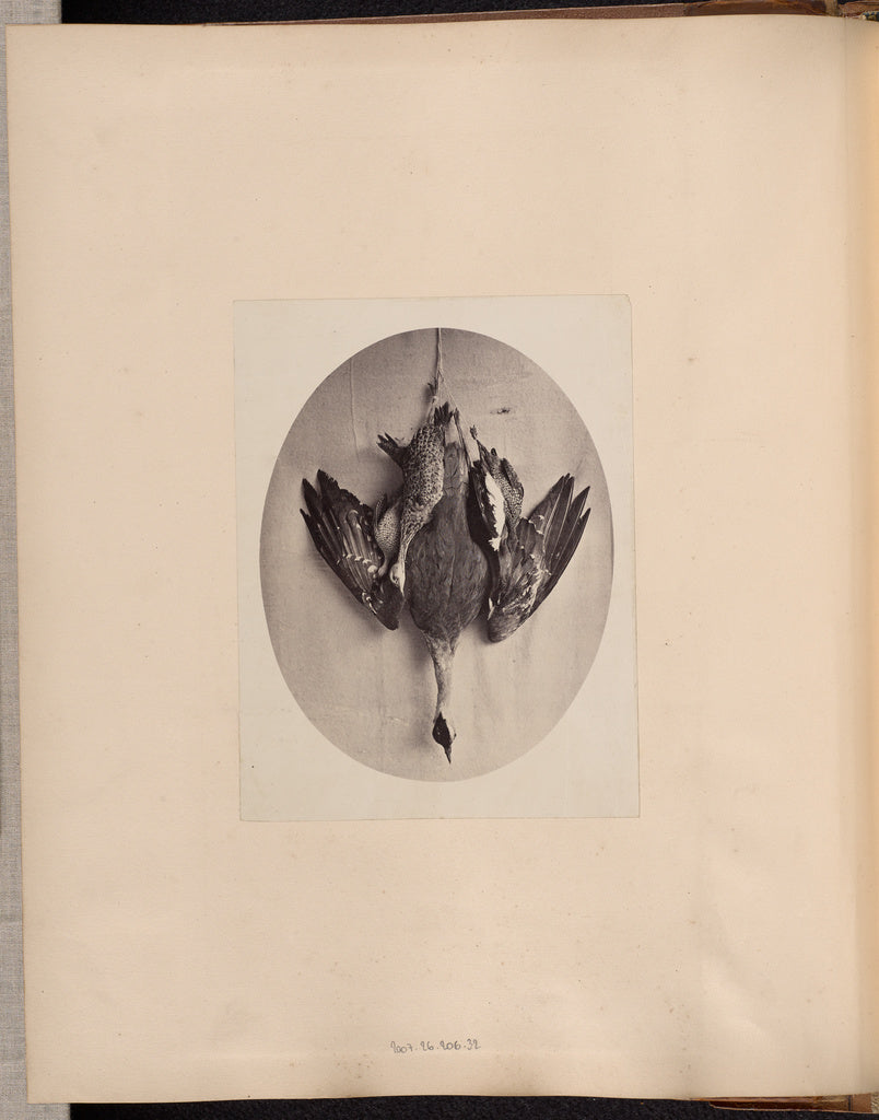 Unknown:[Dead Fowl], Poster Print Wall Art