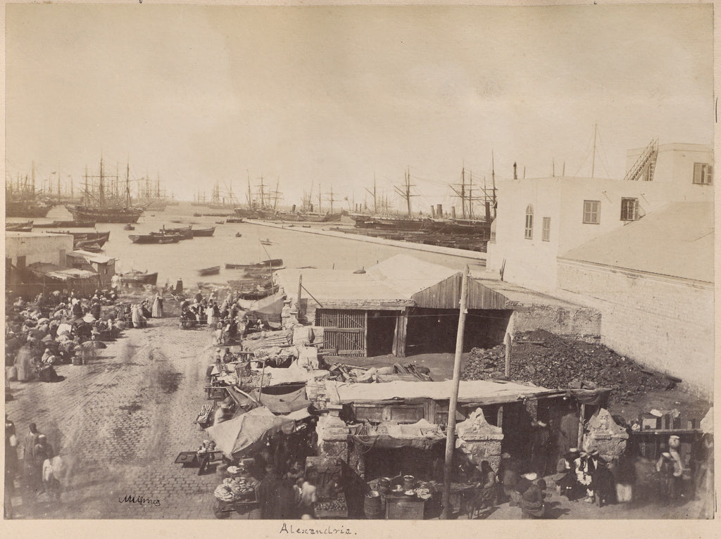 F. Meissner:Alexandria, Poster Print Wall Art