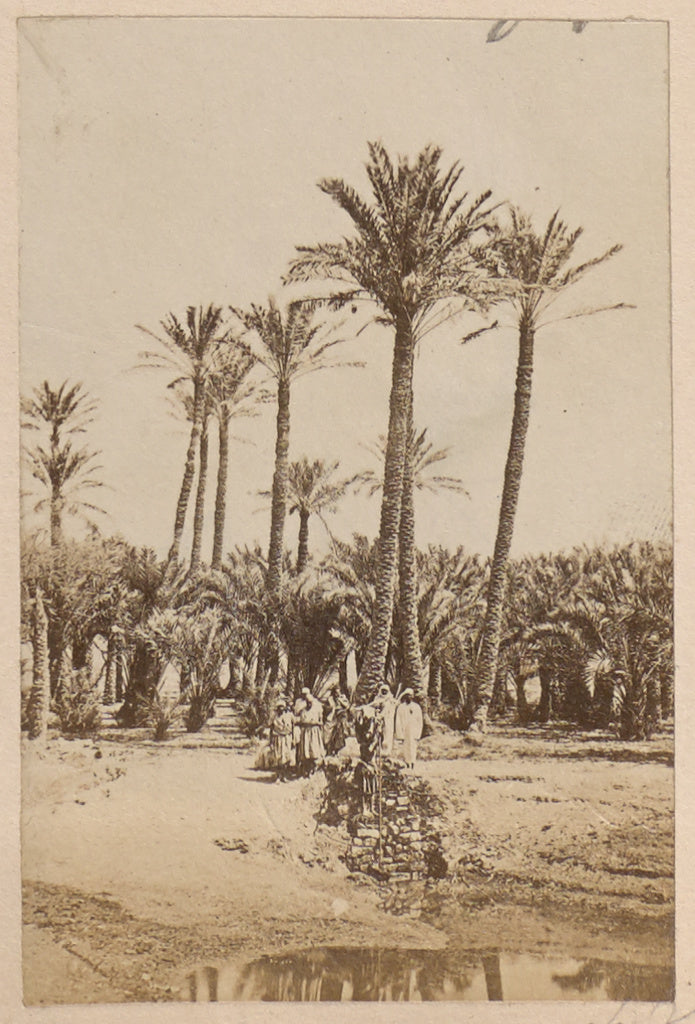 Unknown:[Landscape with Oasis], Poster Print Wall Art