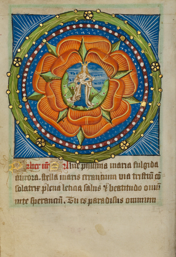 Unknown:The Virgin and Child in a Red Rose, Poster Print Wall Art