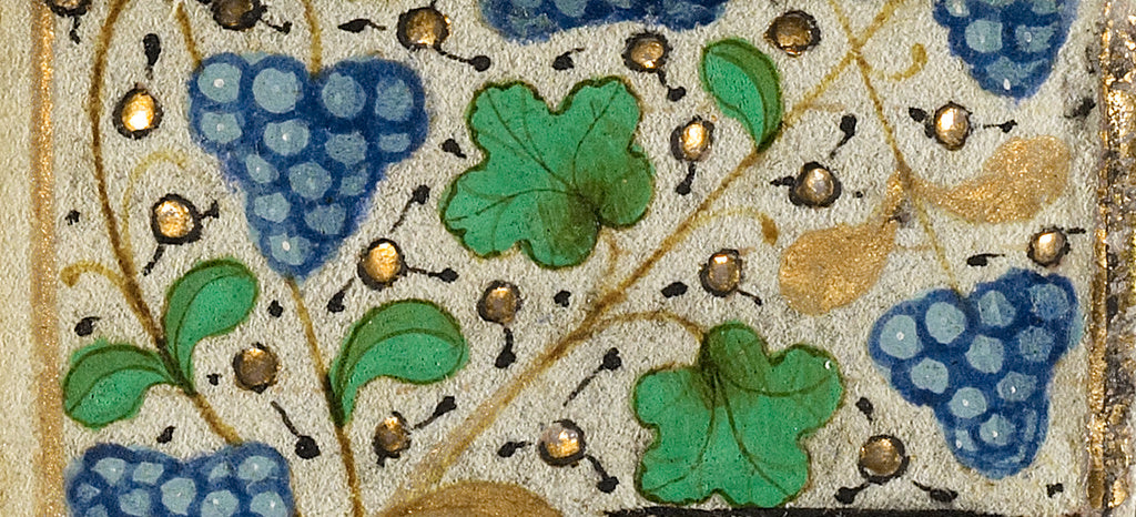 Unknown:Decorated Border with Grapes, Poster Print Wall Art