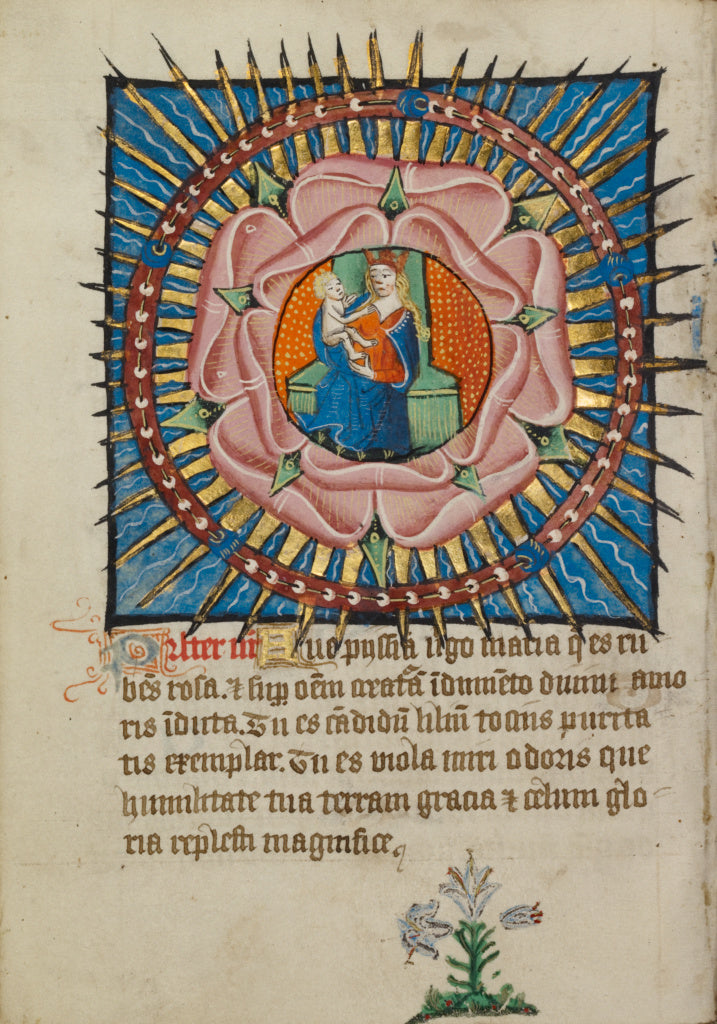 Unknown:The Virgin and Child in a Pink Rose with a White Lil, Poster Print Wall Art