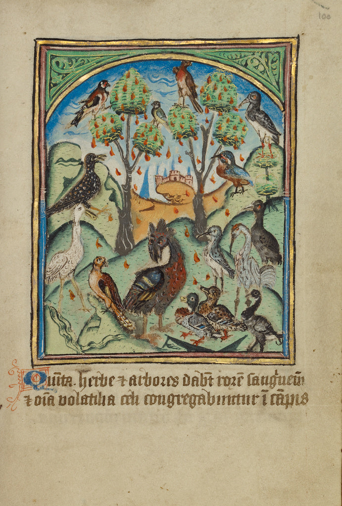 Unknown:The Fifth Sign before the Day of Judgment, Poster Print Wall Art