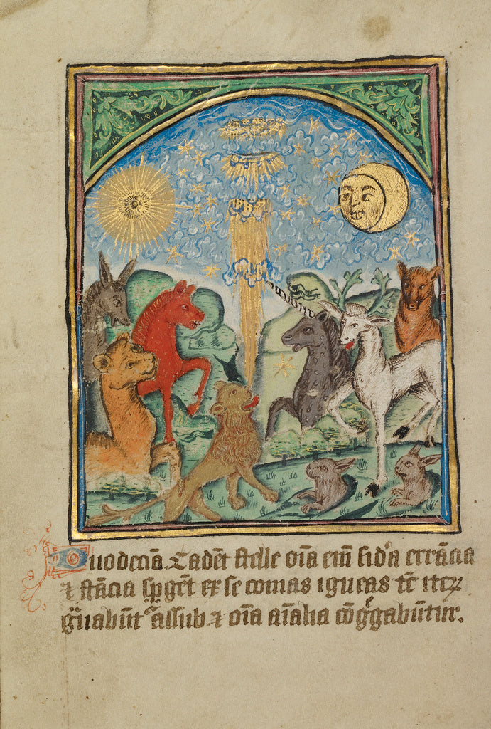 Unknown:The Twelfth Sign before the Day of Judgment, Poster Print Wall Art