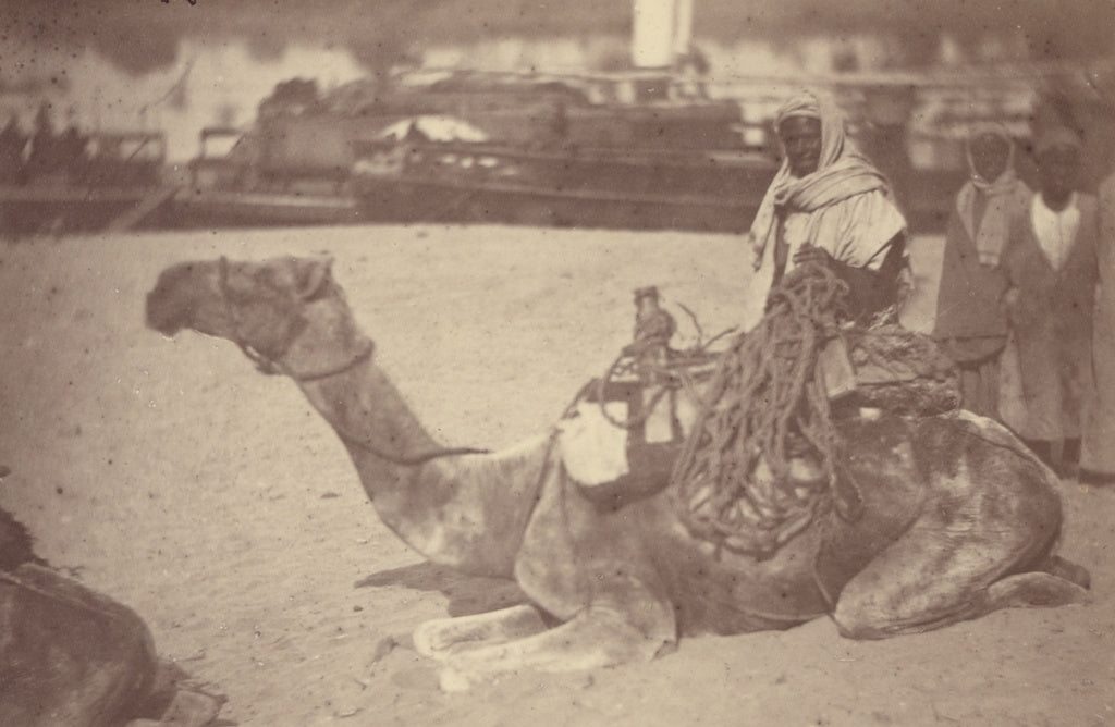 Théodule Devéria:[Camel with Native Men on the Bank of the, Poster Print Wall Art