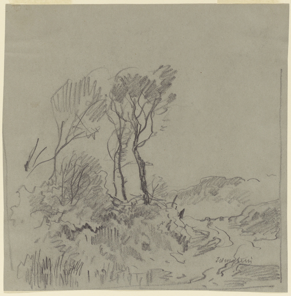 Josef Wenglein:Tree Studies, Poster Print Wall Art