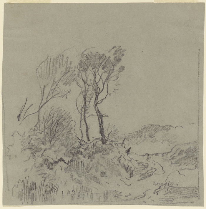 Josef Wenglein:Tree Studies,16x12