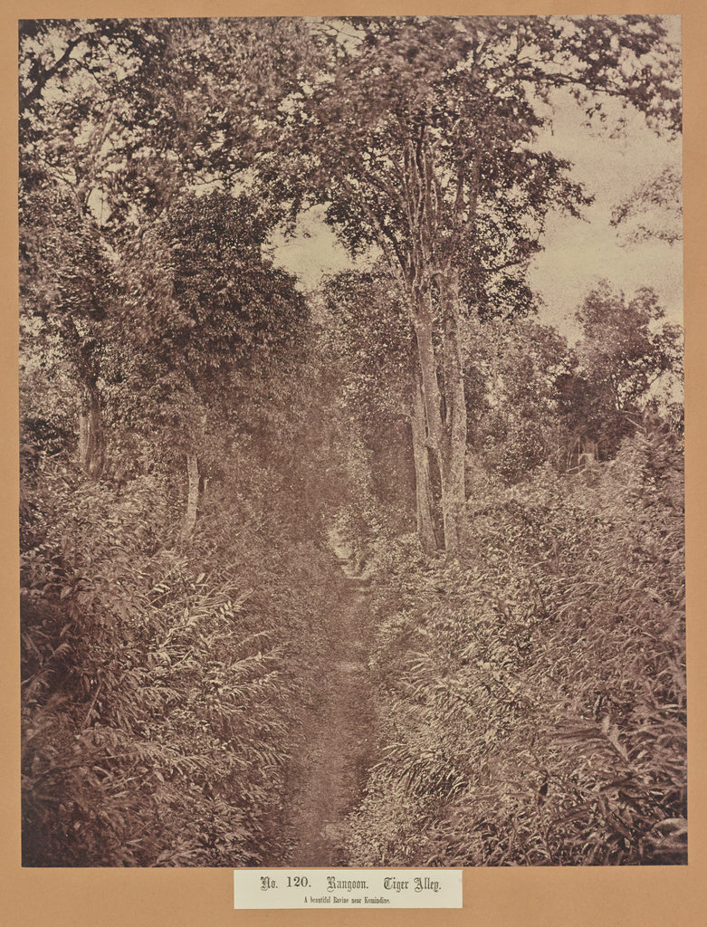 Capt. Linnaeus Tripe:No. 120. Rangoon. Tiger Alley,16x12"(A3)Poster