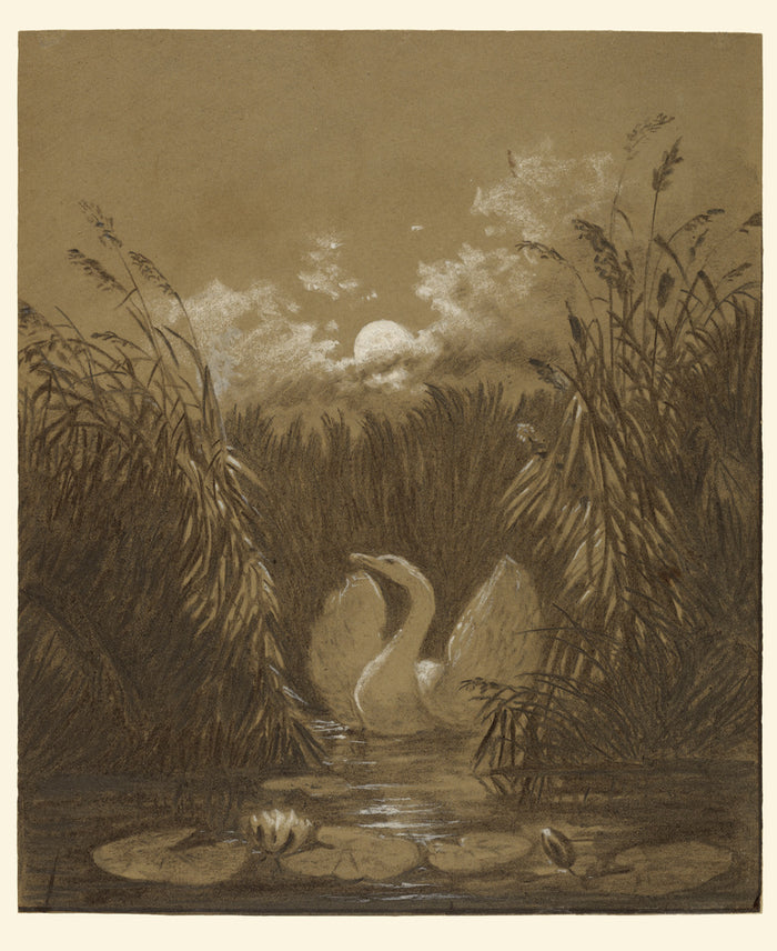 Carl Gustav Carus:A Swan Among the Reeds, by Moonlight,16x12
