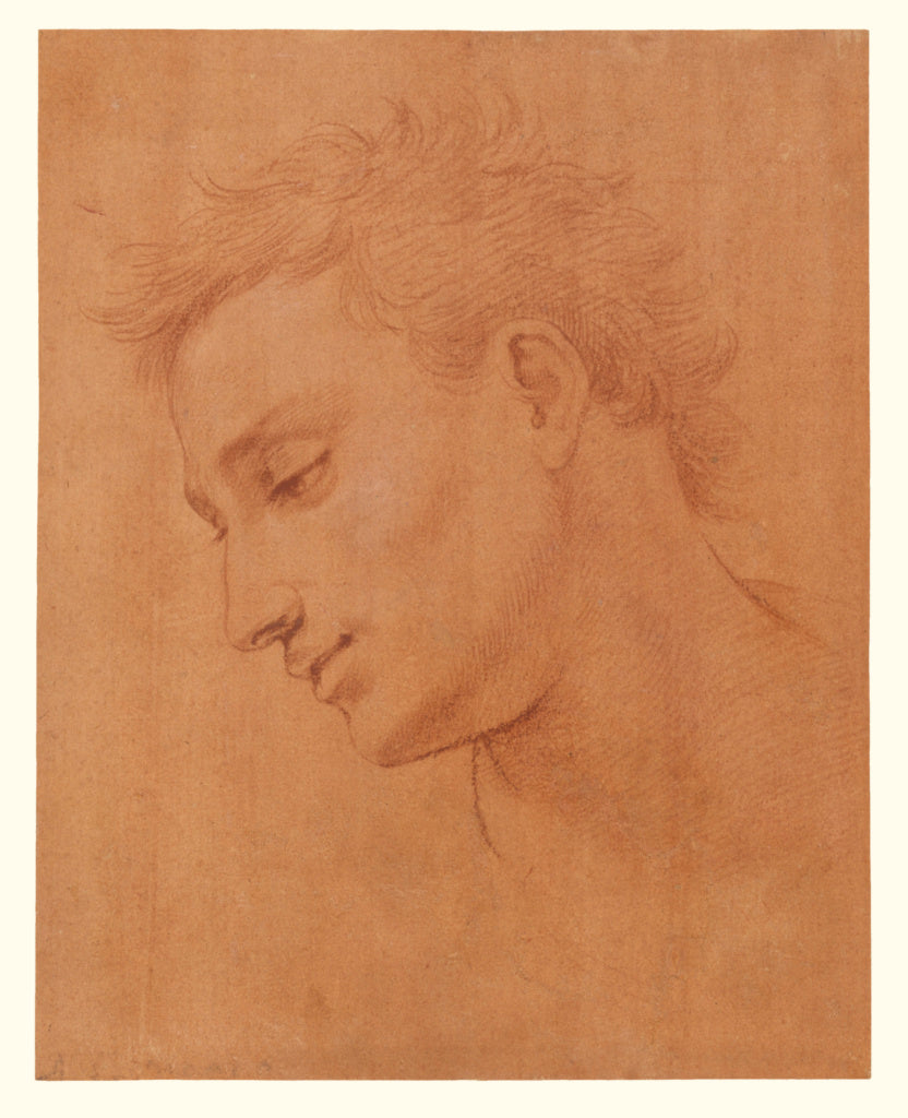 Girolamo Macchietti:Head of Man in Profile to the Left,16x12"(A3)Poster