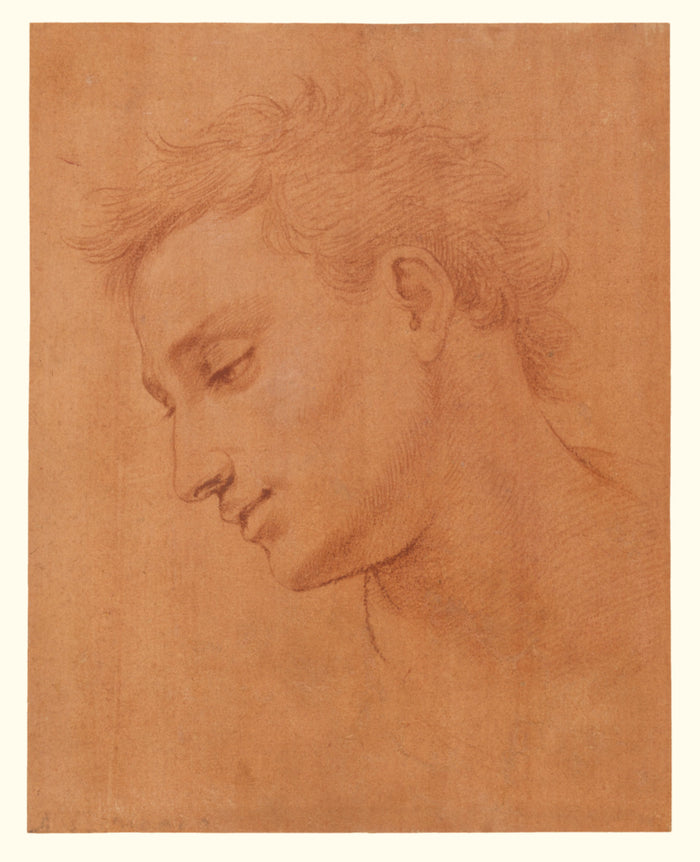 Girolamo Macchietti:Head of Man in Profile to the Left,16x12