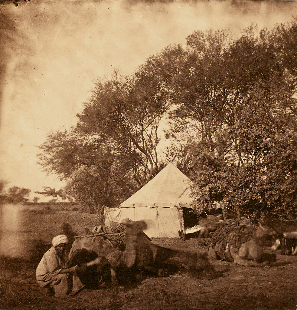 Unknown:[Faiyum Oasis], Poster Print Wall Art