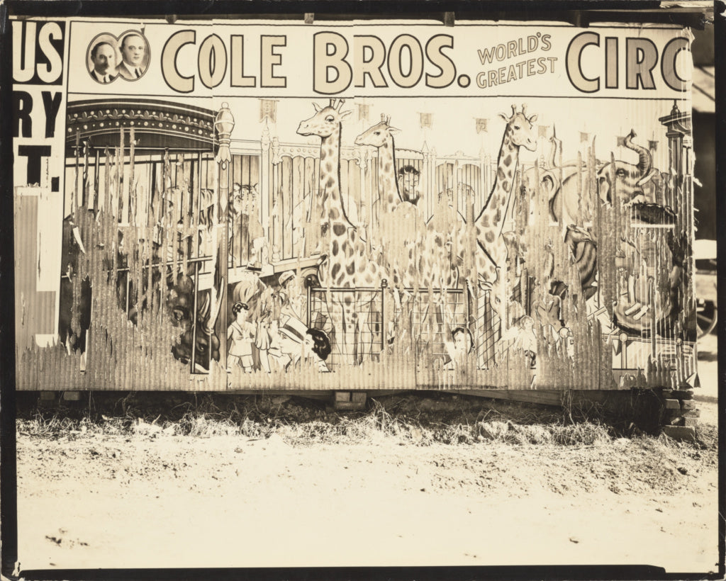 Walker Evans:Cole Brothers Circus Poster,16x12"(A3)Poster