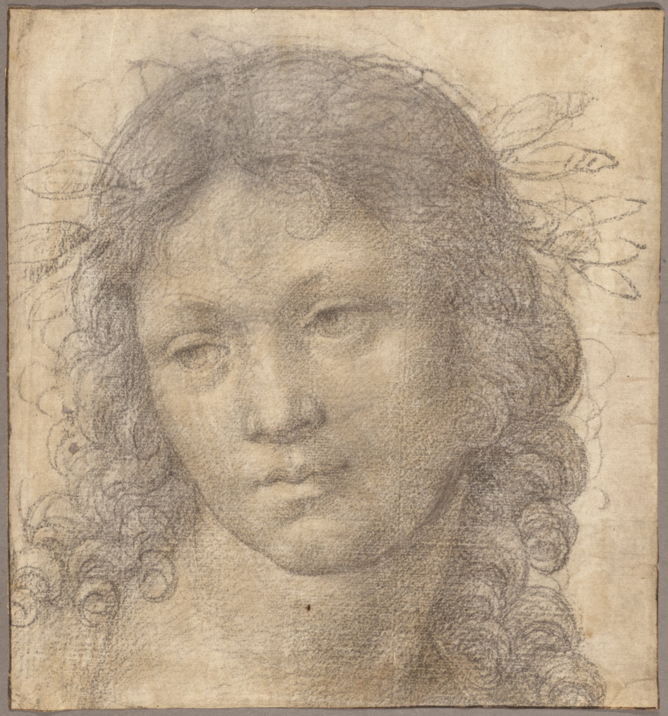 Lorenzo di Credi  , about 1456 - 1536):The Head of a Young B,16x12"(A3)Poster