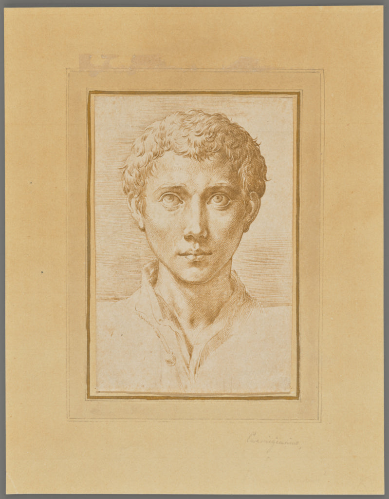 Parmigianino :The Head of a Young Man,16x12"(A3)Poster