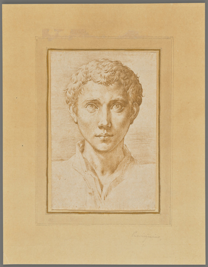 Parmigianino :The Head of a Young Man,16x12