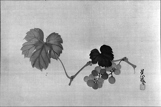 ,Grapevine after 1790-Matsumura Goshun,16x12"(A3) Poster