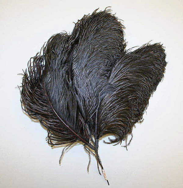 Hair accessory late 19th–early 20th cent,16x12"(A3)Poster