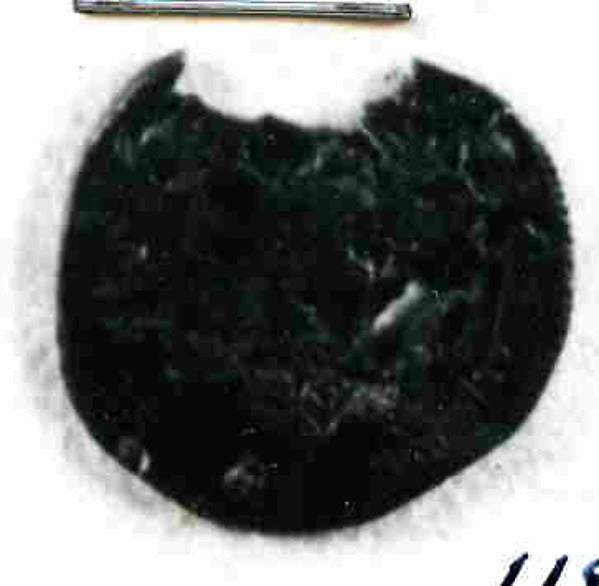 :Coin dated A.H. 131/ A.D. 748-16x12"(A3) Poster