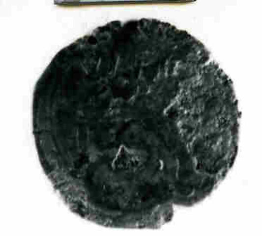 :Coin A.H. 158–68/ A.D. 774–84-16x12"(A3) Poster