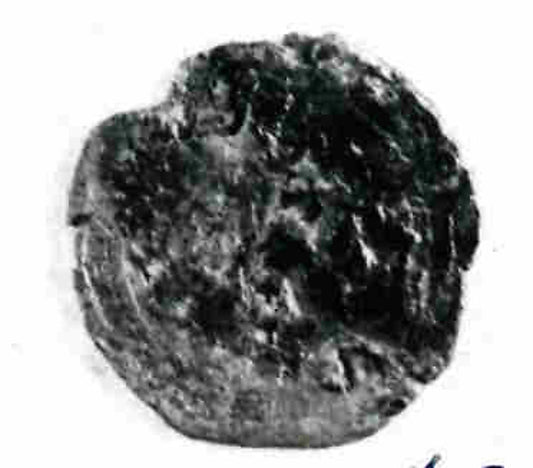 :Coin A.H. 169/ A.D. 785-16x12"(A3) Poster