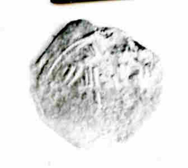 :Coin A.H. 120/A.D. 737-16x12"(A3) Poster