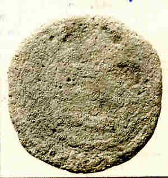 :Coin A.H. 141–54/A.D. 758–68-16x12"(A3) Poster