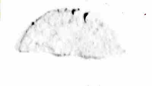 :Coin 5th–14th century-16x12"(A3) Poster