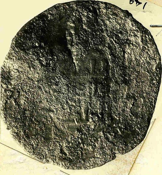 :Coin late 12th–early 13th century-16x12"(A3) Poster