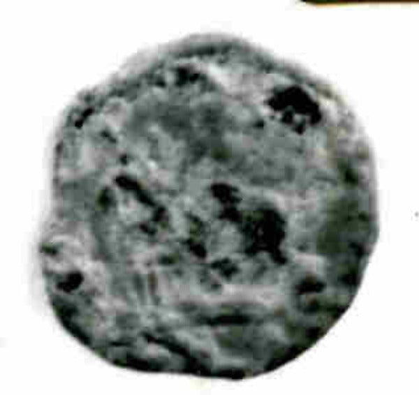 :Coin dated A.H. 164/ A.D. 780-16x12"(A3) Poster