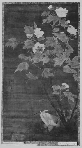 Hibiscus and Egret dated 1724-Attributed to Jiang Tingxi, 16x12"(A3) Poster