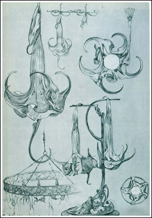 71 from the 'Documents Decoratifs" series, 1901 vintage artwork by Alphonse Mucha, 16x12" (A3 size) poster print