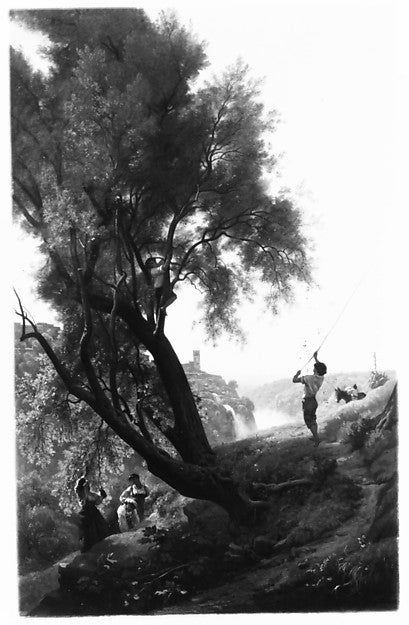 François-Louis Français:Gathering Olives at Tivoli 1868-16x12"(A3) Poster