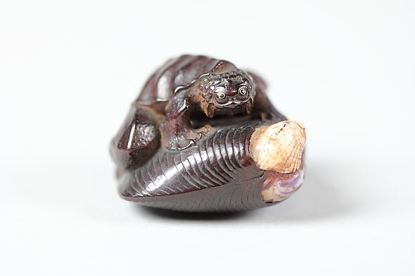 Netsuke of Frog-like Tortoise on a Shell 18th cent,  Poster Print