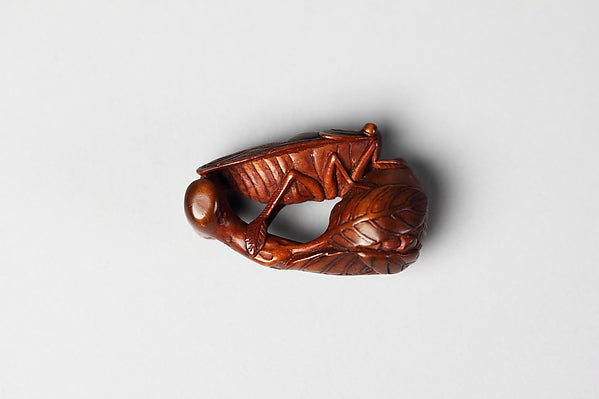 Netsuke of Fly and Acorn 19th cent,  Poster Print