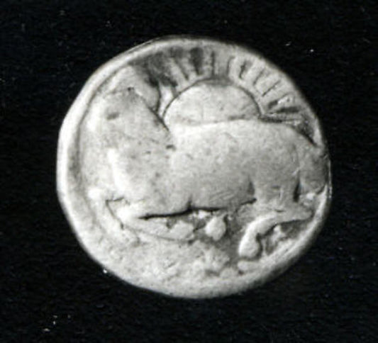 :Group of Zodiac Coins--Aries Leo Pisces Taurus Capricorn da-16x12"(A3) Poster