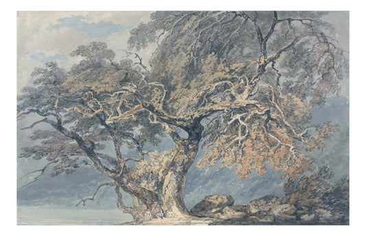 A Great Tree, 1796 by John Mallord William Turner RA, 12x8"(A4) Poster