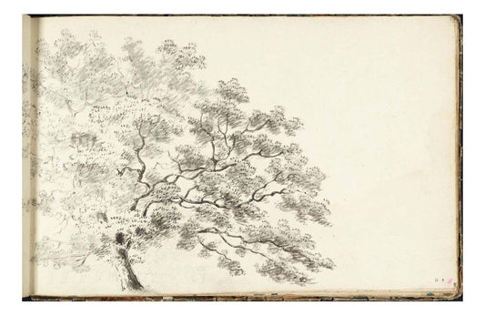 A Tree, with a Line of Trees Beyond, 1789 by John Mallord William Turner RA, 12x8"(A4) Poster