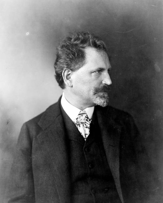 Alfons Mucha LOC 3c05828u vintage artwork by Alphonse Mucha, 16x12" (A3 size) poster print