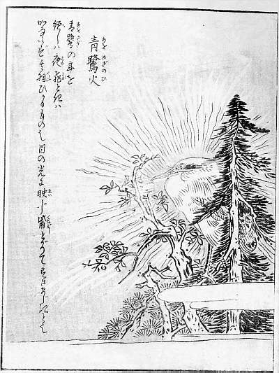 Aosagibi, historic, vintage ukiyo-e Japan artwork,12x8"(A4) Poster Print
