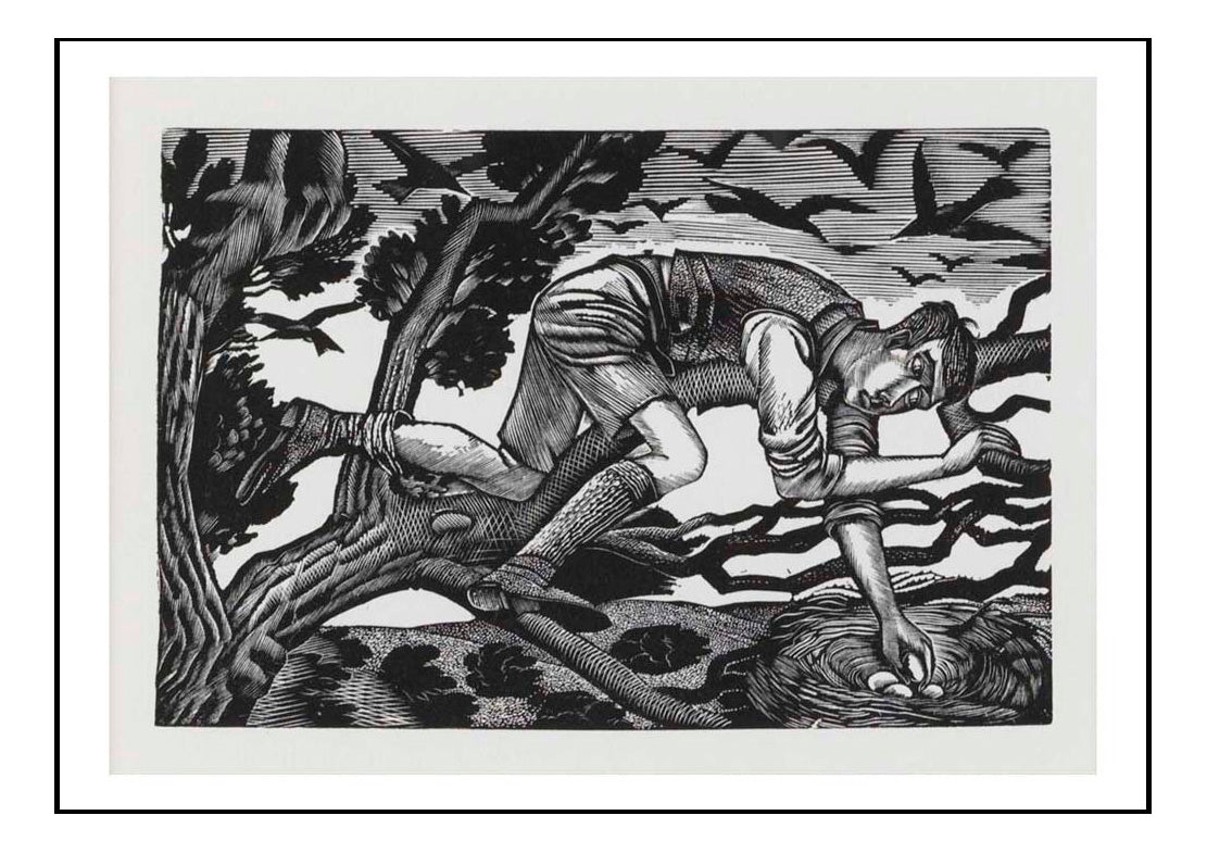 Boy Bird Nesting  by Eric Ravilious -A4 Poster