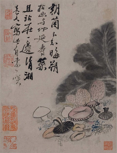       ,Vegetables 17th or 18th cent-Shitao ,16x12"(A3)Poster